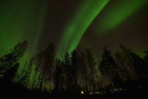 ADSC_7133