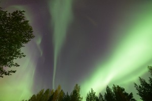 ADSC_7157