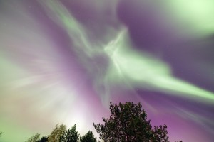 ADSC_7158